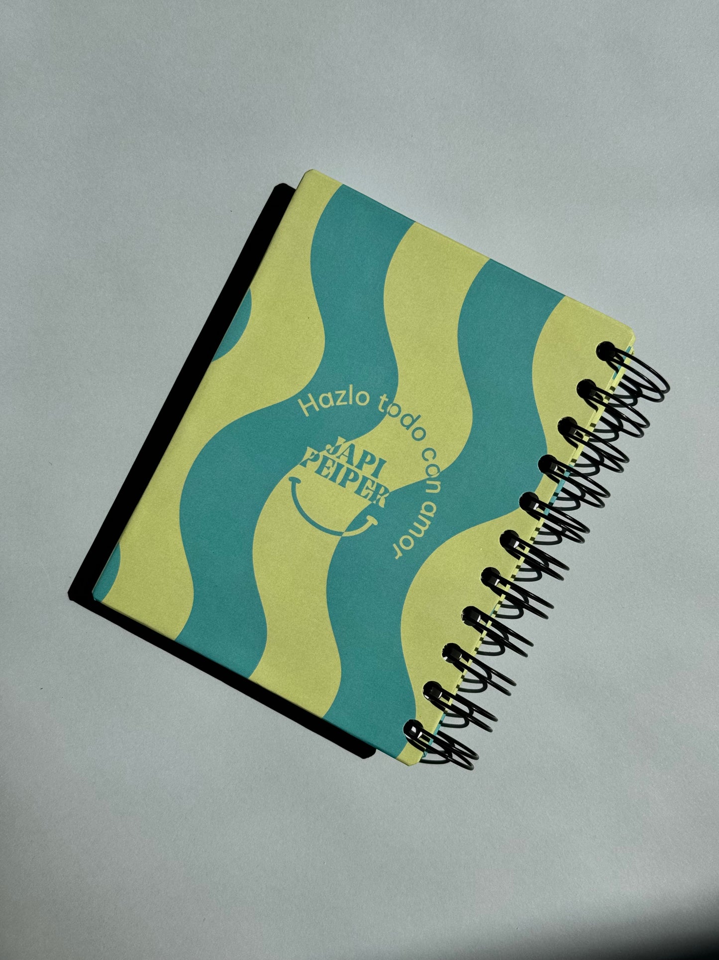 Libreta mini azul y verde.